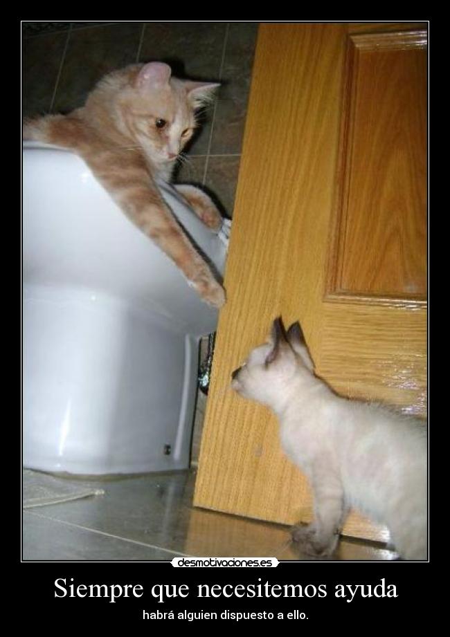 Siempre que necesitemos ayuda -