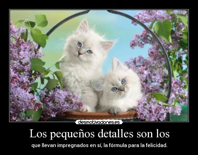 Los pequeños detalles son los -