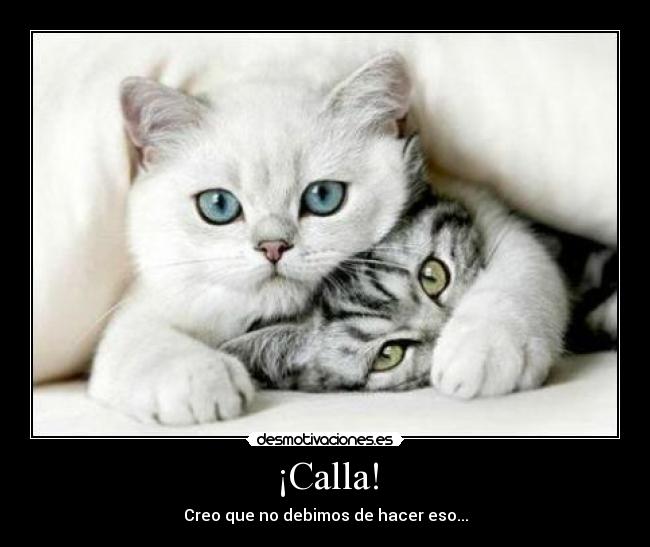 ¡Calla! - Creo que no debimos de hacer eso...