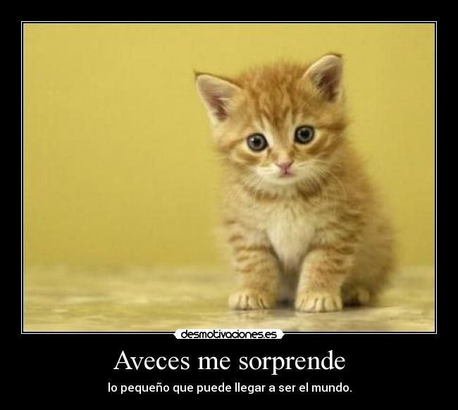 Aveces me sorprende - lo pequeño que puede llegar a ser el mundo.