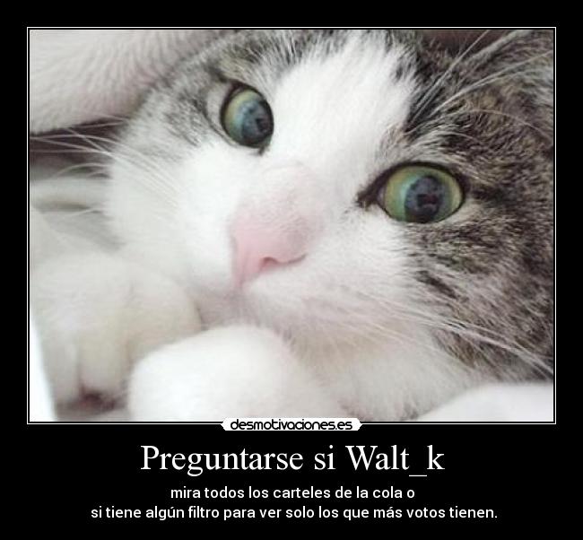 Preguntarse si Walt_k -