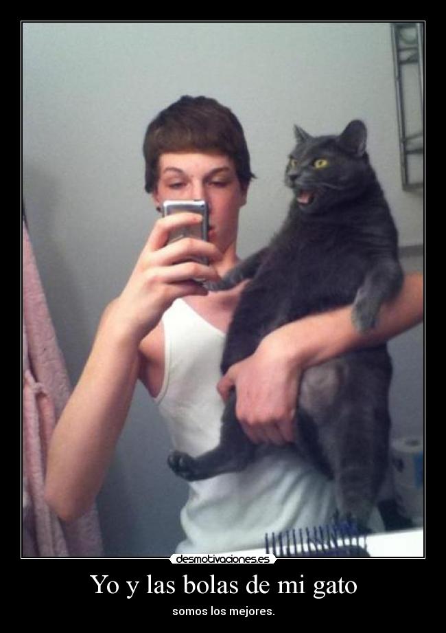 Yo y las bolas de mi gato - somos los mejores.