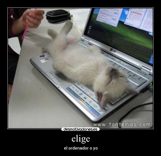 elige - 