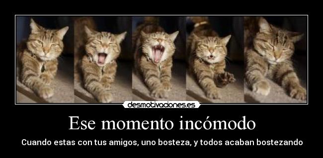Ese momento incómodo - Cuando estas con tus amigos, uno bosteza, y todos acaban bostezando