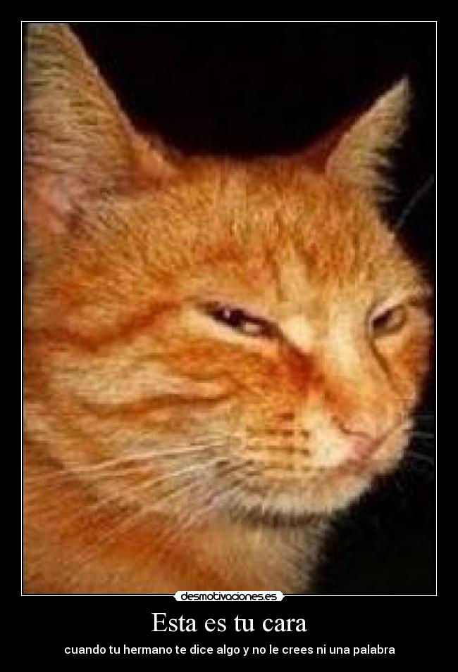 Esta es tu cara - cuando tu hermano te dice algo y no le crees ni una palabra