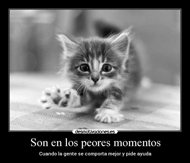 Son en los peores momentos - 