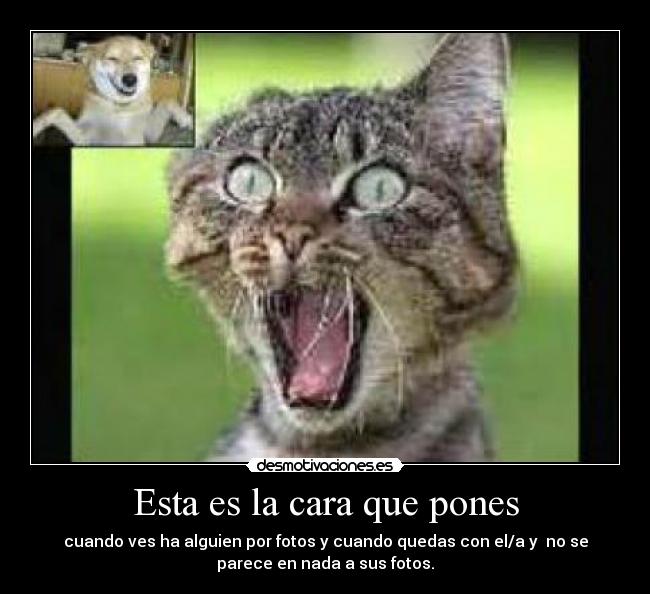 Esta es la cara que pones - cuando ves ha alguien por fotos y cuando quedas con el/a y no se
parece en nada a sus fotos.