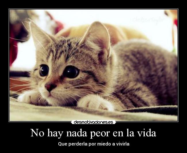 No hay nada peor en la vida - 