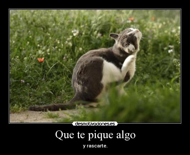 carteles coleccion carteles absurdos que hacen preguntarse por que cojones llegan principal desmotivaciones