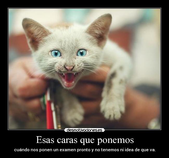 Esas caras que ponemos - cuándo nos ponen un examen pronto y no tenemos ni idea de que va.