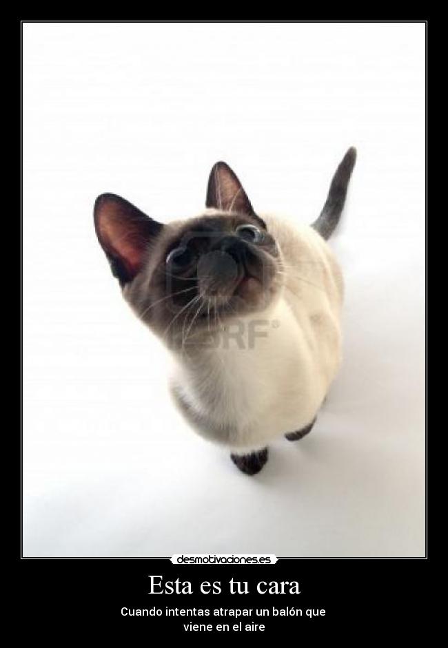 Esta es tu cara - Cuando intentas atrapar un balón que
viene en el aire
