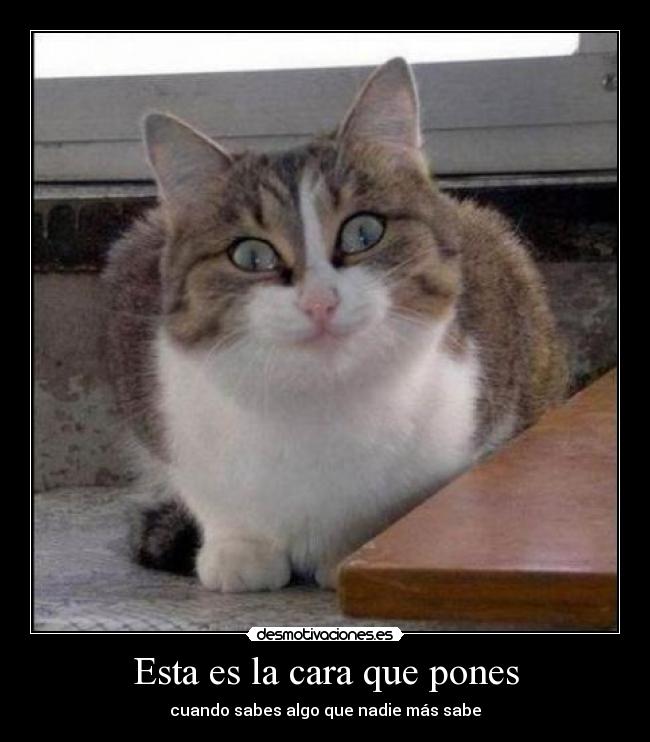 Esta es la cara que pones -