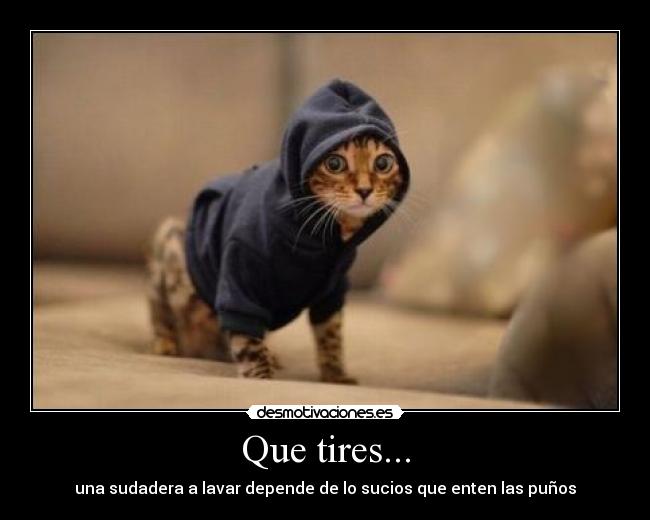 Que tires... - una sudadera a lavar depende de lo sucios que enten las puños