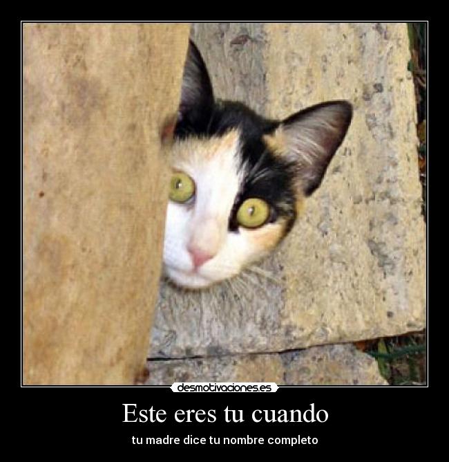 Este eres tu cuando - 