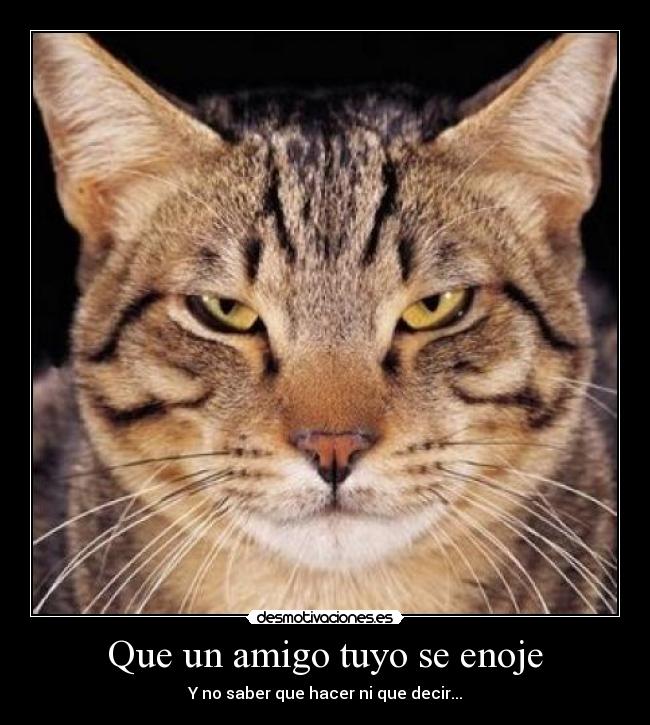 Que un amigo tuyo se enoje - Y no saber que hacer ni que decir...