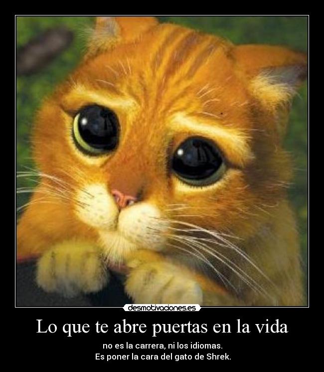 Lo que te abre puertas en la vida - no es la carrera, ni los idiomas.
Es poner la cara del gato de Shrek.