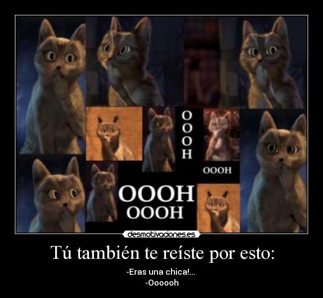 Tú también te reíste por esto: -