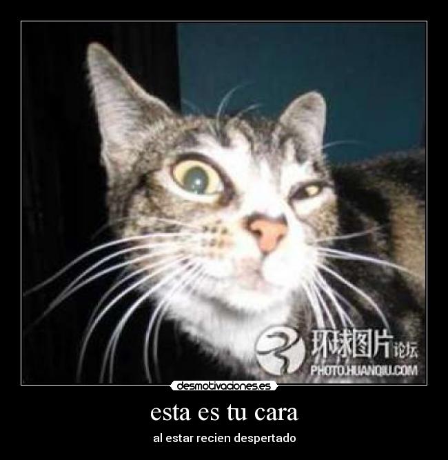 esta es tu cara -
