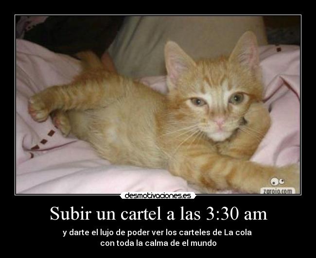 Subir un cartel a las 3:30 am - 