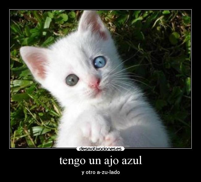 tengo un ajo azul - y otro a-zu-lado