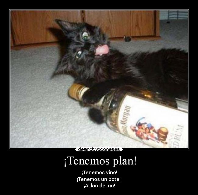 ¡Tenemos plan! - ¡Tenemos vino!
¡Tenemos un bote!
¡Al lao del río!