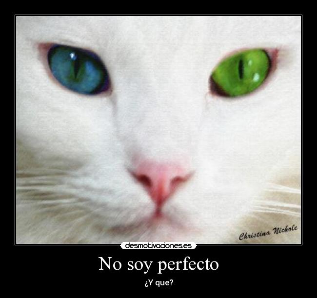 No soy perfecto - ¿Y que?