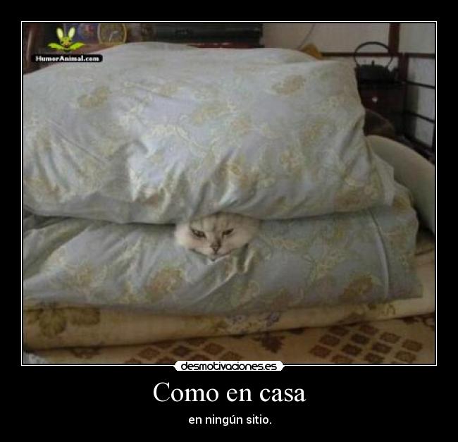 Como en casa - en ningún sitio.