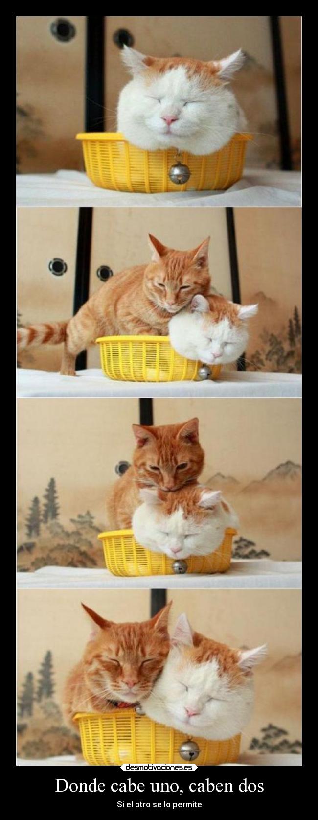 Donde cabe uno, caben dos - Si el otro se lo permite