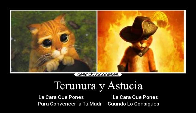 Terunura y Astucia - La Cara Que Pones La Cara Que Pones
Para Convencer a Tu Madr Cuando Lo Consigues