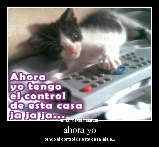 ahora yo - tengo el control de esta casa jajaja...