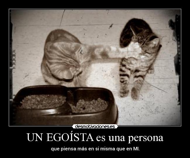 UN EGOÍSTA es una persona - 