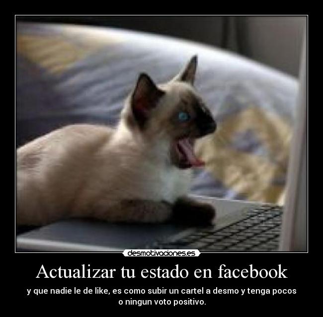 Actualizar tu estado en facebook - y que nadie le de like, es como subir un cartel a desmo y tenga pocos
o ningun voto positivo.