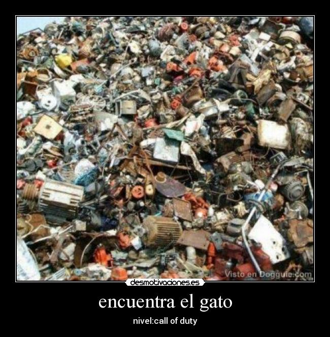 encuentra el gato - nivel:call of duty