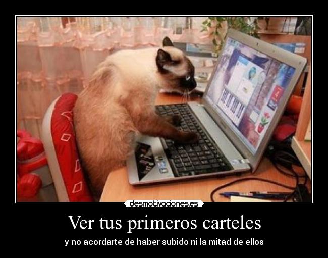 Ver tus primeros carteles - 