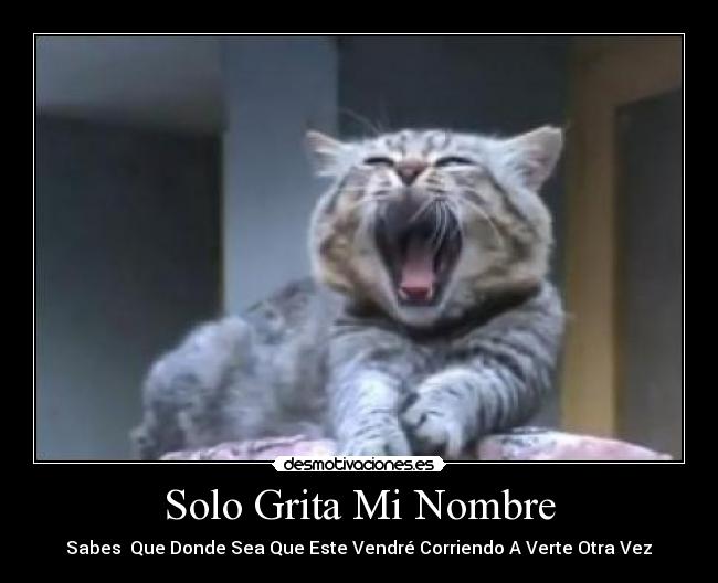 Solo Grita Mi Nombre -