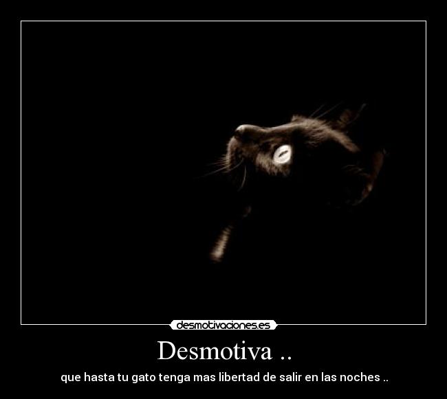 Desmotiva .. - que hasta tu gato tenga mas libertad de salir en las noches ..