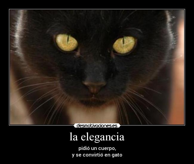 la elegancia -