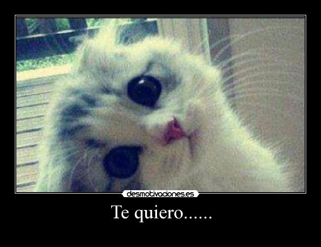 Te quiero...... -