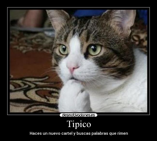 Tipico -