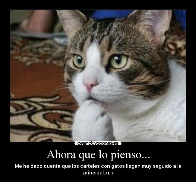 Ahora que lo pienso... - Me he dado cuenta que los carteles con gatos llegan muy seguido a la principal. n.n