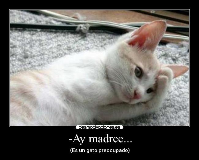 -Ay madree... - (Es un gato preocupado)