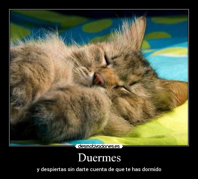 Duermes - y despiertas sin darte cuenta de que te has dormido