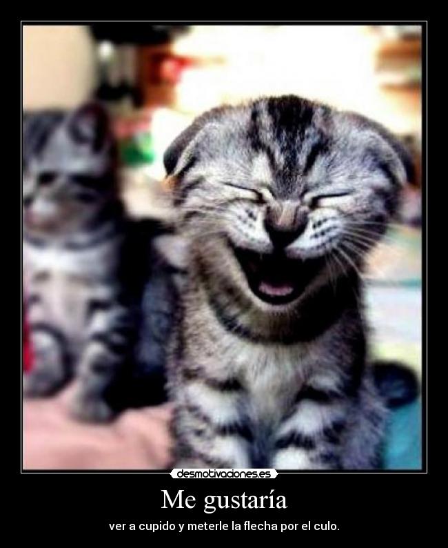Me gustaría - ver a cupido y meterle la flecha por el culo.