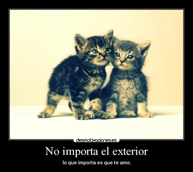 carteles importa exterior desmotivaciones