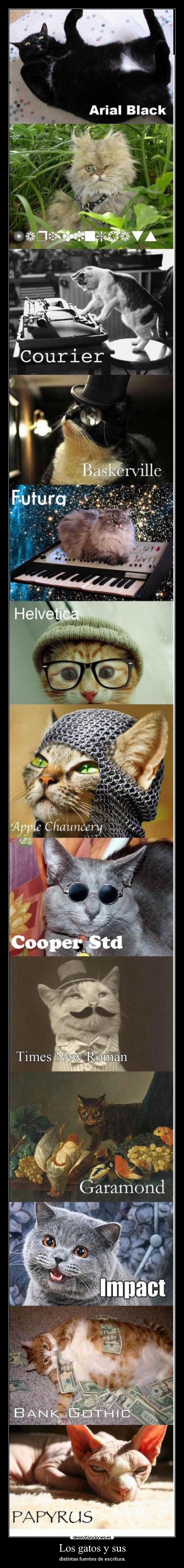 Los gatos y sus - distintas fuentes de escritura.