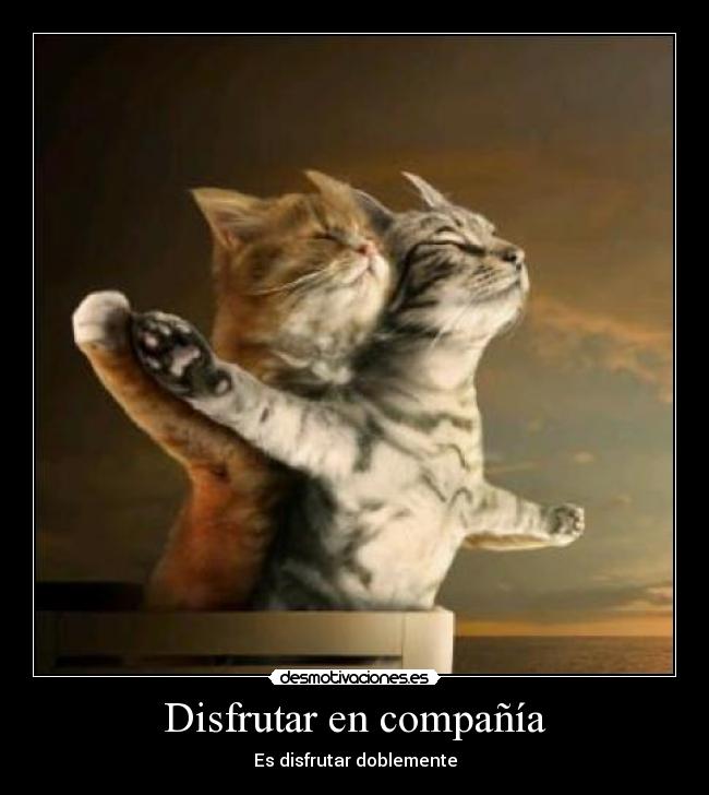 Disfrutar en compañía -
