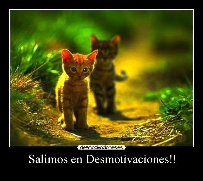 Salimos en Desmotivaciones!! -