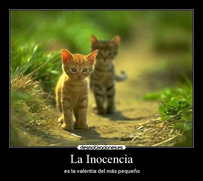 La Inocencia - 