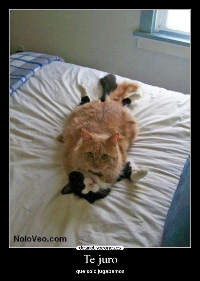 Te juro -