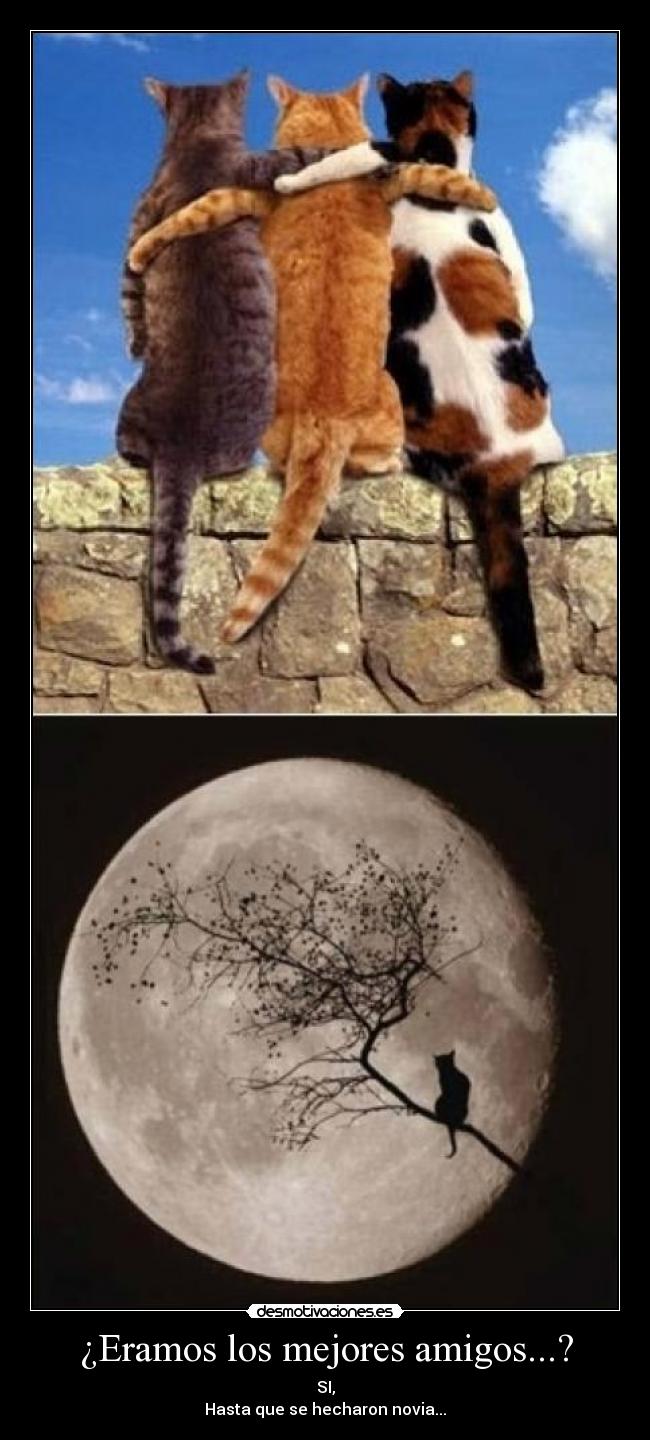 ¿Eramos los mejores amigos...? - SI,
Hasta que se hecharon novia...